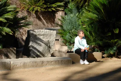 DSC_0080 (Large).JPG